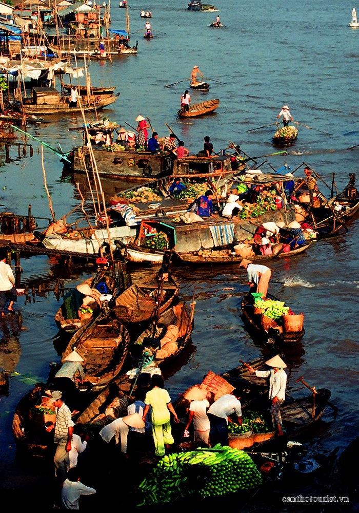 Marché flottant Cai Rang paysage